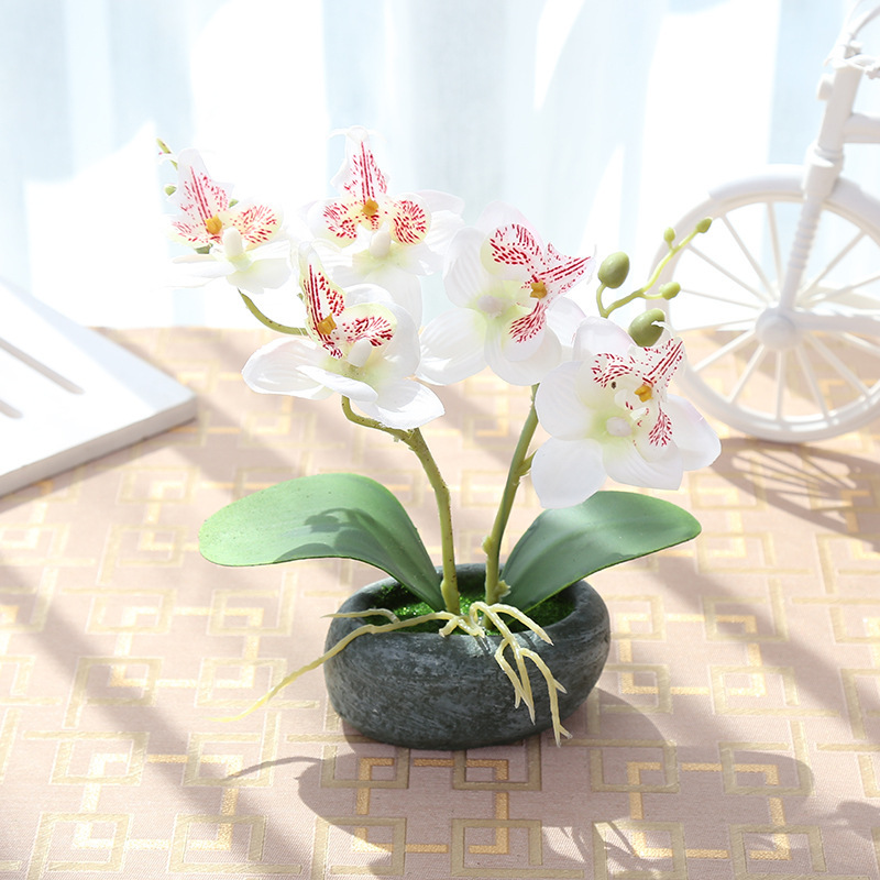 Bianco