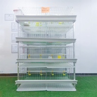 Cage de volaille de 80 couches de capacité pour élevage de ferme 1000 oiseaux