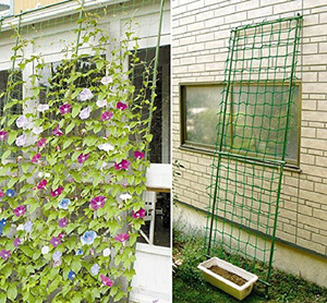 <span class=keywords><strong>Filet</strong></span> d'escalade de plante de fleur de légume de serre de jardin de vente directe d'usine 2023 - Product Image 6