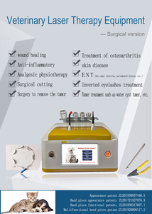 Pet Clinic Veterinary Laser Animals Small Weight Surgery Therapy Vet Laser <strong>Orthopaedic</strong> <strong>Instruments</strong> - Product Image 2