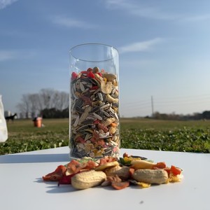 Premium Natural Parrot Food Wholesale Freeze Dried Fruit Bird <strong>Seed</strong> Mix for <strong>Budgies</strong> Cockatiels African Grey Macaw OEM Factory - Product Image 3