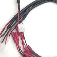 Connecteurs de faisceau de câbles personnalisés en usine avec bornes de drapeau