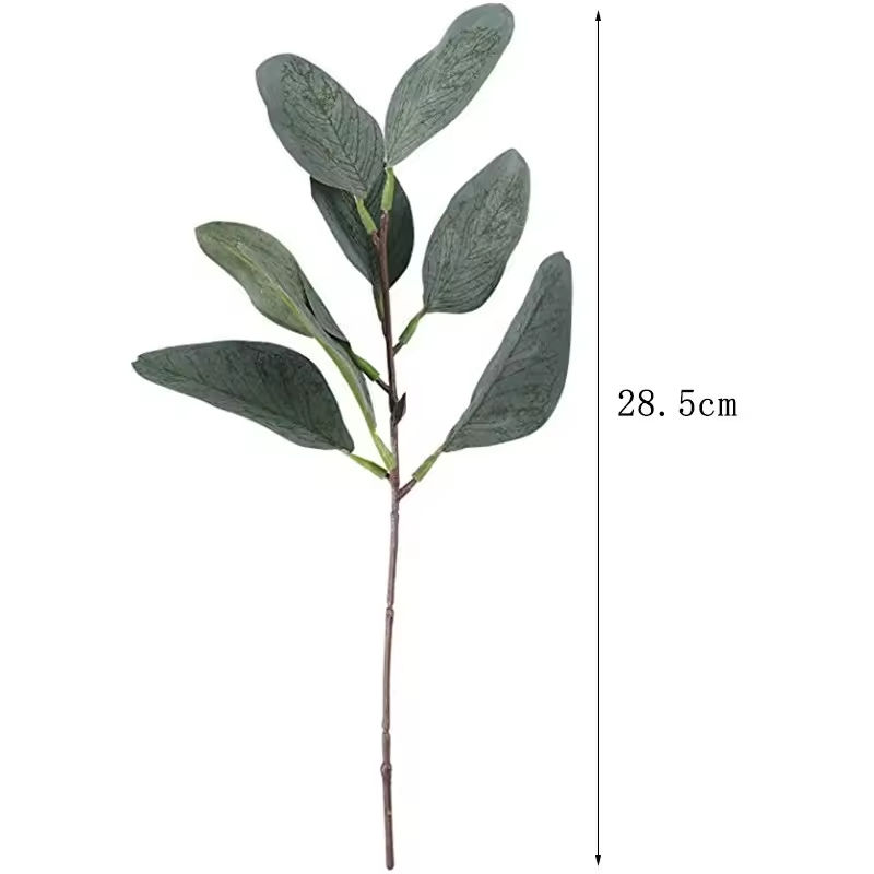 8.5inch pointed leaves without fruit