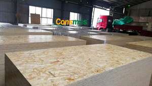 Consmos <span class=keywords><strong>pas</strong></span> <span class=keywords><strong>cher</strong></span> OSB 3 carte 9.5mm 11mm 12mm 18mm osb - Product Image 6