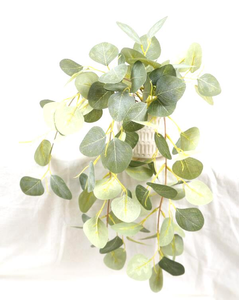 <span class=keywords><strong>Plante</strong></span> artificielle suspendue Peperomia Eucalyptus en pot, fausse feuillage suspendu pour la décoration intérieure <span class=keywords><strong>de</strong></span> la maison et du bureau - Product Image 3