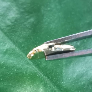 ZZSU Teeth Gems 8K Gold Copper Alloy Kitty Shape Grillz Jewelry Teeth Decoration for Home Use - Product Image 6