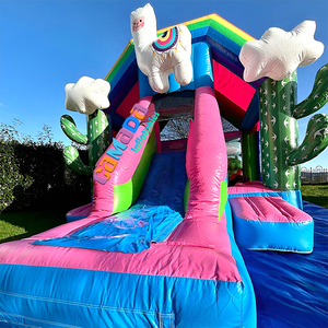 Château Gonflable Commercial Rose avec Toboggan Alpaca pour Fête d'Anniversaire, Qualité Professionnelle, Hpfburg - Product Image 4