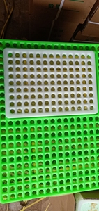 50x50,50x60cm Alfombrillas de plástico <span class=keywords><strong>Accesorios</strong></span> de conejo <span class=keywords><strong>para</strong></span> jaulas al por mayor - Product Image 6