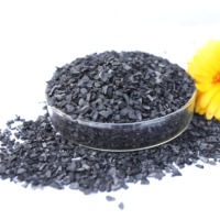 Proveedor de EE. UU. de Perlas de Carbón Activado de Groenlandia de 4 mm, Adsorbente de Carbón Negro, Productos Químicos, 99.9% de Pureza, Purificación de Agua 5
