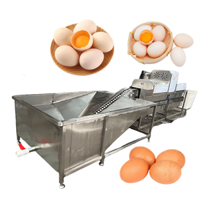 Ligne de machines automatiques de nettoyage et de lavage des œufs de poule et de canard - Product Image 4