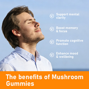 Gomitas de hongos más vendidas 10 en 1, gomitas con mezcla de complejo de hongos para adultos, para la salud cognitiva, el estado de ánimo y el cerebro. - Product Image 5