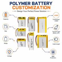 Batterie Li-ion polymère au lithium rechargeable personnalisée en usine 555075 2500mAh 4000mAh 3.7v Lipo avec certifications KC EU CE BIS