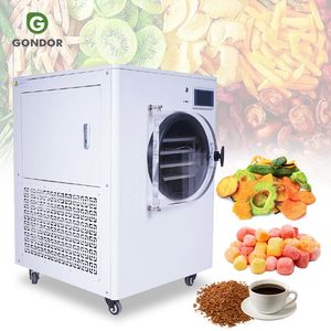 Liofilizadora de Laboratorio Compacta con Tecnología Integrada, Máquina de Secado al Vacío para Dulces - Product Image 1