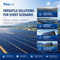 Panneau solaire bifacial haute efficacité Trina Solar 720W 730W 740W, module photovoltaïque TOPCon à double vitrage de type N