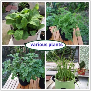 Sacs de culture pour plantes, fleurs, légumes et fruits, semis avec Protection de fruits amortissant pour l'extérieur, sacs de culture pour plantes vertes dans le jardin - Product Image 6