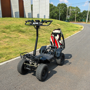 Carrito de Golf Eléctrico de 4000W, Buggy de Playa Cómodo 4x4, Batería de Litio de 60V, Tracción en las Cuatro Ruedas para Club de Golf, Asociación al Aire Libre - Product Image 2