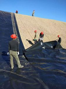 Géomembrane composite HDPE avec revêtement anti-infiltration en géotextile pour les décharges et les barrages - Product Image 2