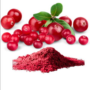 天然有機野生クランベリーエキス粉末食品グレードフリーズドライ食品 & 飲料用途カスタムドラム包装 - Product Image 4