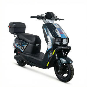 Venta Directa de Fábrica, Motocicleta Deportiva Yongyi LW-ZS 72V 2000W, Velocidad de 60 km/h - Product Image 2