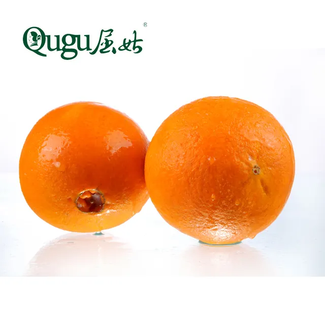 Jeruk Mandarin Segar Manis/Jeruk Segar, Oranye Navy, Jeruk Valencia