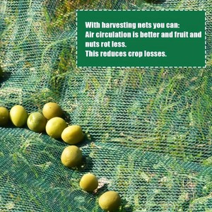 Dệt lưới bóng râm với thiết kế cuộn lên-Bảo vệ chống mưa đá cho nhà kính & vườn - Product Image 2