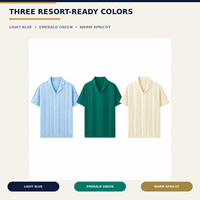 Chemise en tricot texturé pour homme 100% viscose pointelle à manches courtes, col rabattu boutonné, idéale pour l'été et les vacances, vente en gros OEM