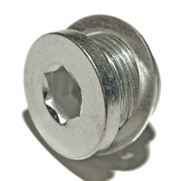 60507149 16993411 4403189 7701042339 N10037103 Bouchon de vidange d'huile moteur pour Fiat Ducato