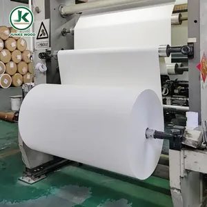 Chinese Factory Direct Supply decorative raw paper for melamine impregnated paper