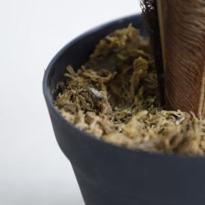 常緑観賞用樹木人工植物の屋内タイプ - Product Image 5