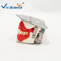Modelo de Práctica de Odontología Oral, PVC Ecológico, Demostración de Anestesia y Extracción Dental, Entrenamiento para Estudiantes de Odontología, No Tóxico
