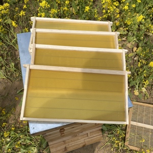 Los Fabricantes Venden una Gran Cantidad de Nuevos Cuadros de Panal y Bases de Cera de Abeja - Product Image 6