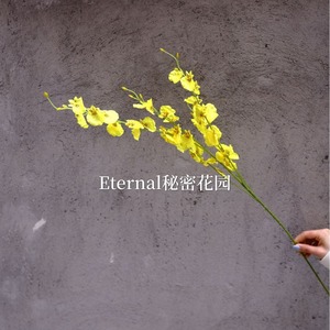 Fleurs artificielles Secret Garden, orchidées jaunes en soie, décoration de mariage, 1 m de long, accessoires de photographie en extérieur, décoration de la maison - Product Image 4
