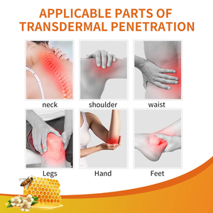 Gel Professionale al Propoli per il Trattamento di Dolori da Distensione Muscolare, Gel <span class=keywords><strong>Antidolorifico</strong></span> per Lombare, Ginocchia, Caviglie, Gambe e <span class=keywords><strong>Collo</strong></span> - Product Image 4