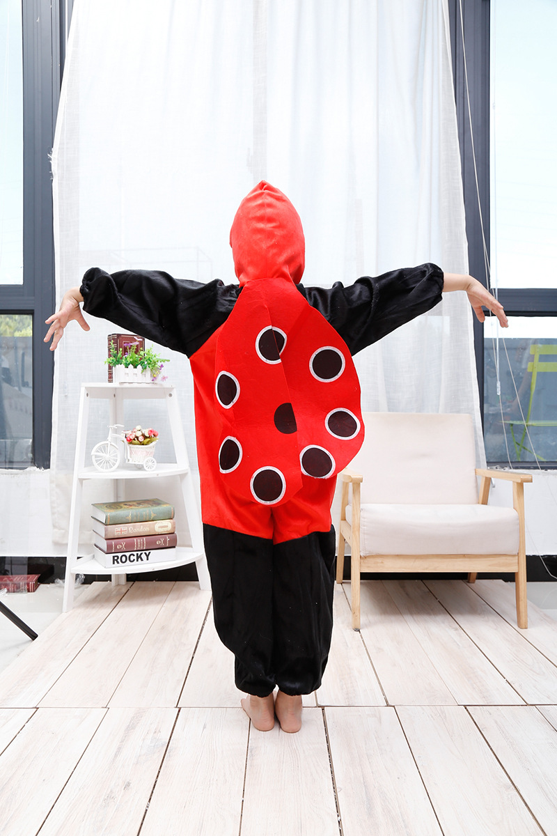 coccinelle