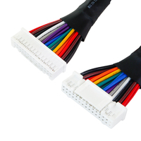 Arnés de Cableado de Doble Fila 24AWG PHD2.0 de 24 Pines con Codificación por Colores, Cableado Interno, Venta Directa de Fábrica
