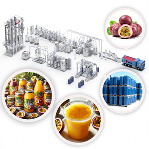 Bon fabricant à Shanghai, ligne de production de jus de pulpe de fruit de la passion en sachet aseptique en boîte de 220 litres - Product Image 1