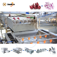 Industriële uienschil-, was-, snij- en wortelsnijmachine, uienerwerkinglijn