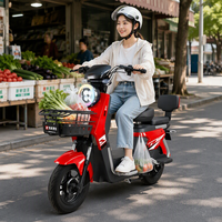 Nouveau vélo électrique à deux roues pour adultes, norme nationale - Approvisionnement transfrontalier direct d'usine