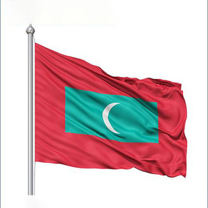 <span class=keywords><strong>2025</strong></span> <span class=keywords><strong>New</strong></span> 96x144cm 100% polyester biểu ngữ Tùy chỉnh 3x5 ngoài trời khuyến mãi máy bay phản lực in ấn logo - Product Image 3