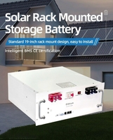 Système de stockage d'énergie commercial et industriel 50 kWh, station solaire hybride avec batterie LiFePO4, refroidissement par air, conception en rack