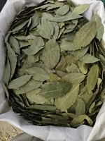 Feuilles de Laurier Brutes Séchées AD de Qualité Supérieure d'Origine Chine 50Kg Vente en Gros Guangxi pour Importateurs et Distributeurs Étrangers
