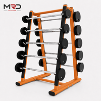 Support de Rangement Commercial pour Barres de Musculation, Type A, 10 Barres, Fixe, Sûr, Stable et Durable, pour Salle de Sport et Club de Fitness