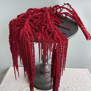 Fleurs d'amarante séchées en gros pour <span class=keywords><strong>la</strong></span> décoration de mariages, <span class=keywords><strong>la</strong></span> décoration intérieure et les événements spéciaux comme <span class=keywords><strong>la</strong></span> Saint-Valentin et les remises de diplômes - Product Image 5