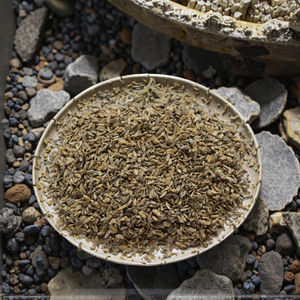 Alimentation Premium pour Tortues et Poissons : Mouches Noires Séchées au Soleil 100% Naturelles, Riches en Protéines, de 0,2 à 0,5 cm, Qualité Supérieure, Directement de l'Usine - Product Image 5