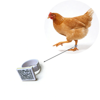 Mini-étiquette RFID NFC HF 13,56 MHz ISO18000-6C, taille réglable, étanche, avec code QR, pour la gestion et l'identification des animaux (bague de pied)