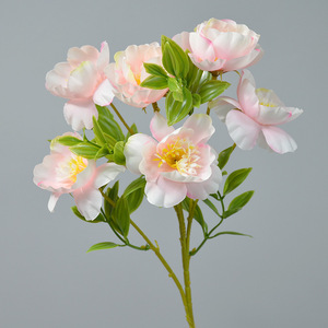 Fleur de pivoine artificielle Dongchen Crafts, 30cm-100cm, en soie, pour décoration intérieure et accessoires de mariage - Product Image 1