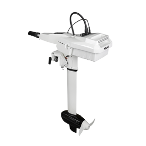 <b>Motor</b> 48V 1.1KW(3HP) Engine for <b>Boating</b> - Product Image 6