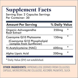 Capsules de soutien à la fertilité féminine de dernière génération, capsules de conception saine à base de plantes, soutien à la grossesse, capsules de fertilité pour femmes - Product Image 2