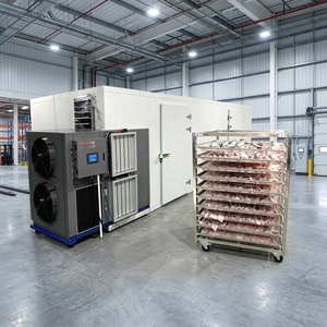 Secador Industrial Eléctrico de Frutas, Carne y Pescado, Máquina de Secado de Corvina Amarilla, Cámara de Secado con Bomba de Calor para Caracoles Marinos y Bacalao - Product Image 1