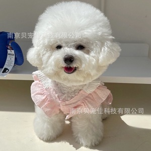 Spring/Summer Dog <b>Clothes</b>, Princess Dresses, Pet Costumes, Bichon Frise, Teddy, Poodle, Pomeranian, Small Dogs and <b>Cats</b>, Cute - Product Image 4